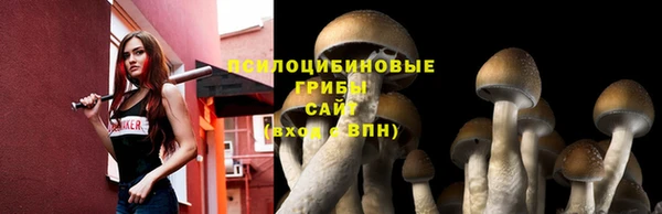 амф Арсеньев
